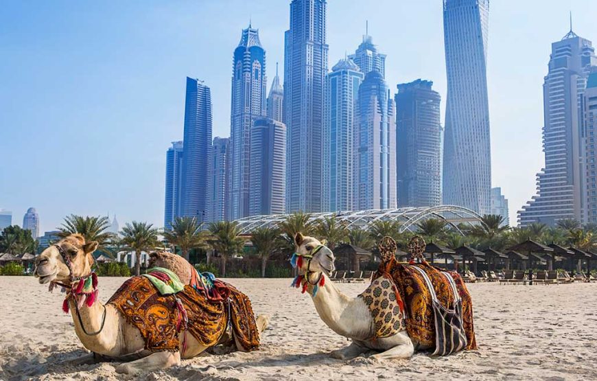 Habtoor Grand